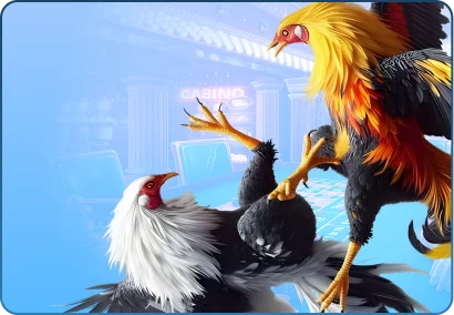 Sảnh Đá Gà SIN88